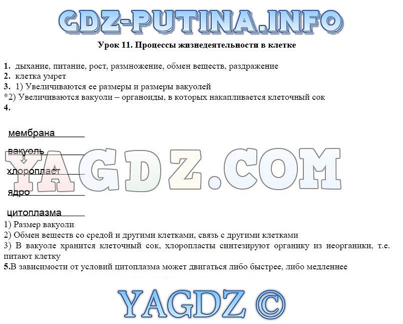 Решебник по английскому академический школьный учебник основана в 2017 году рабочая тетрадь