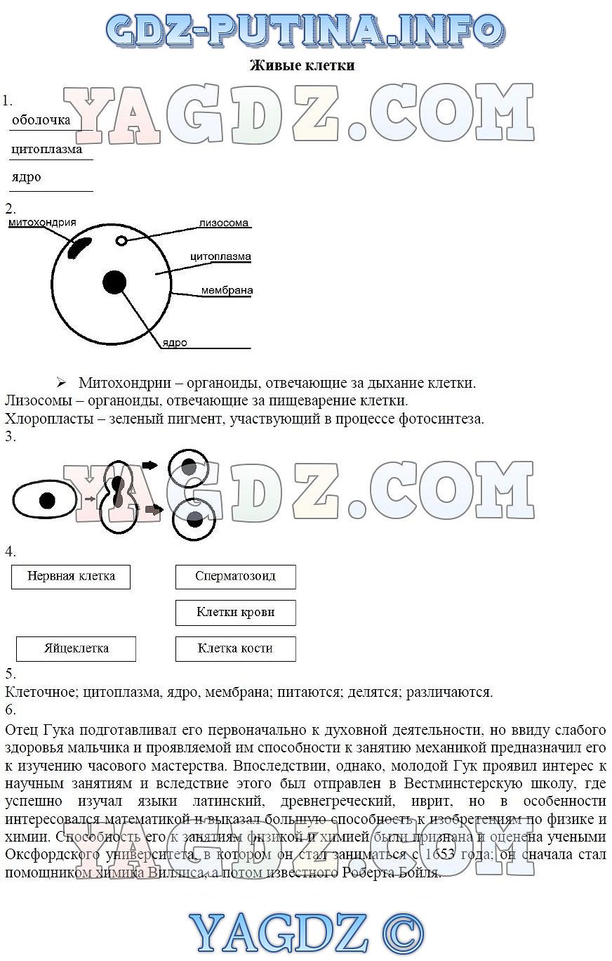 Гдз по естествознанию 5 класс рабочая тетрадь а.а.плешакова и н.и.сонина