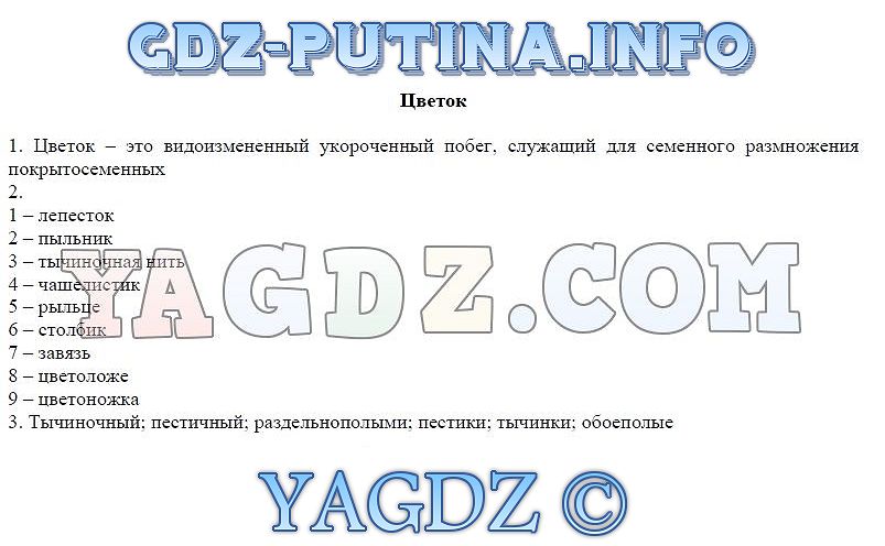 Решебник по биологии 6 10 класс строение листа параграф