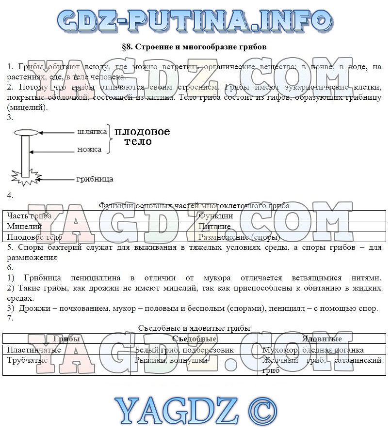 Решебник по биологии 7 класс рабочая тетрадь животные с в суматохин без скачки