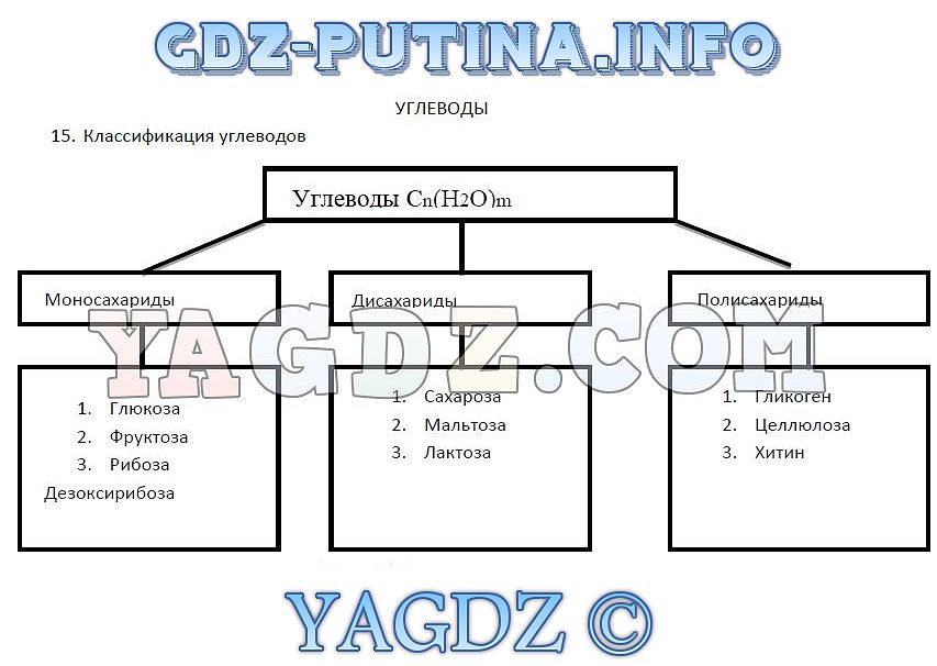 Тренировочные задания по биологии 9 класс в рабочей тетради