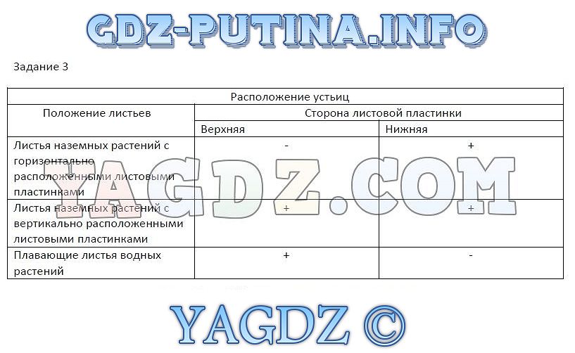 Готовые задания в рабочей тетради по экологии 6 класс горской