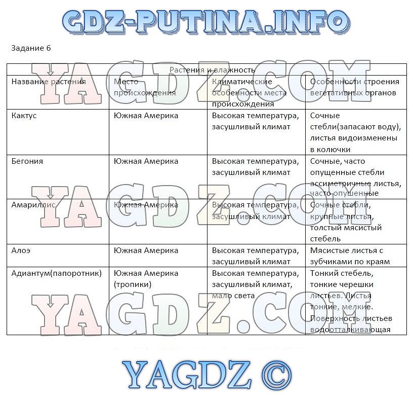 Решебник по экологии 6 класс былова и шорина