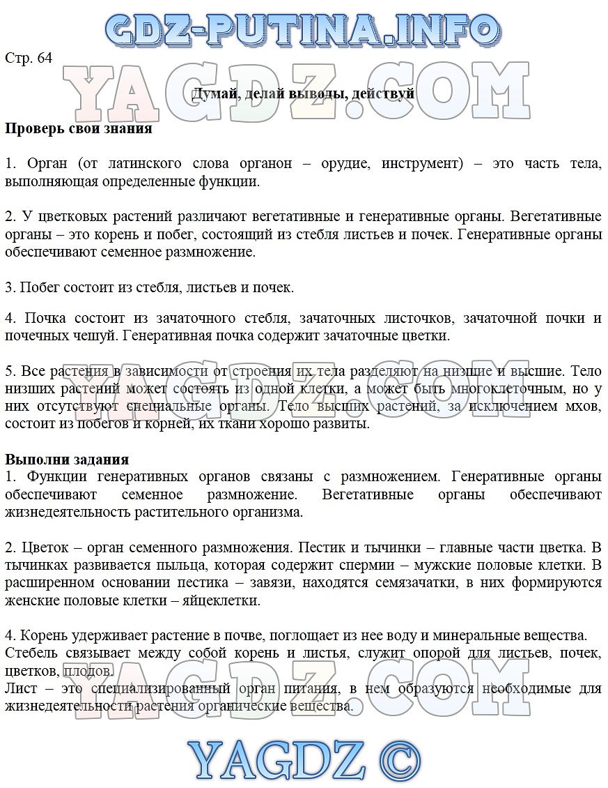 Биология пятый класс параграф 23. Учебник биологии Сивоглазов.