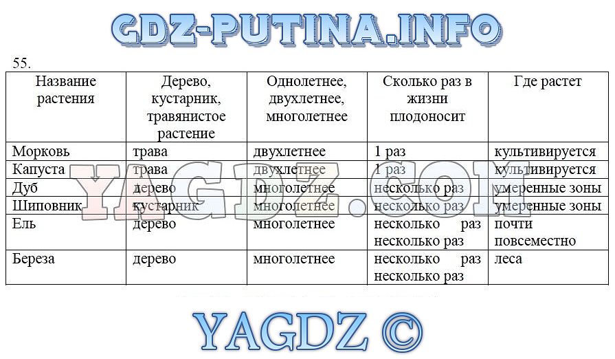 Прочитайте текст инфузия расположенный справа ответы. Таблица название растения. Таблица название растения дерево кустарник или травянистое. Название растения жизненная форма Продолжительность жизни. Охарактеризуйте несколько растений по продолжительности жизни.