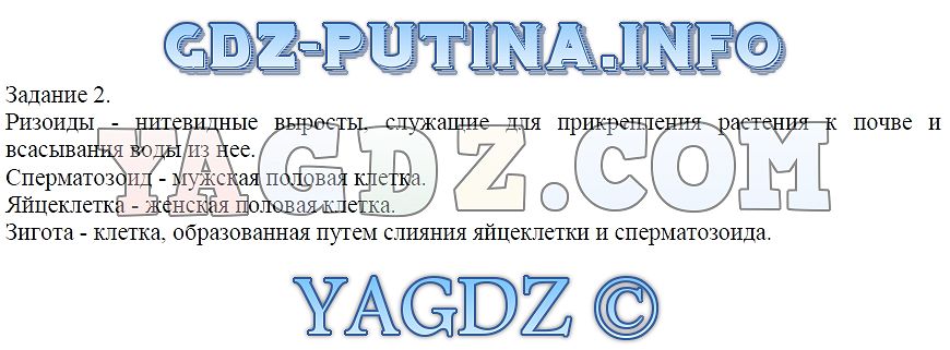 Презентация жилищные правоотношения 8 класс соболева