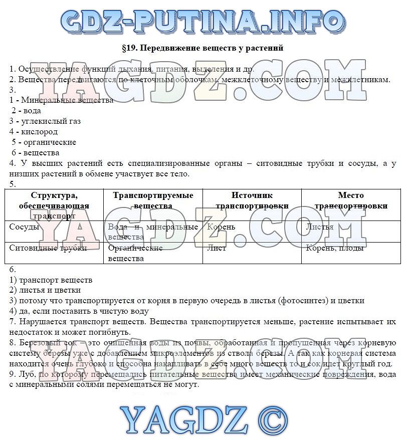 Параграф 12 6 класс. Таблица по биологии 6 класс передвижение веществ у растений. Передвижение веществ у растений 6 класс биология Пасечник. Передвижение веществ у растений и животных таблица. Передвижение веществ у растений таблица.