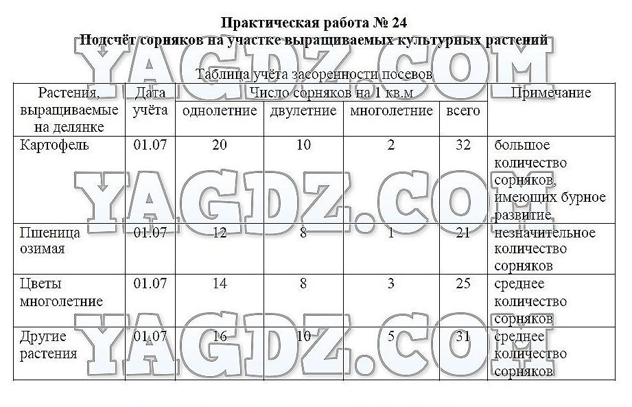 Практическая работа no 2. Практическая работа. Практическая работа сравнение культурных растений. Лабораторные работы по биологии 6 класс Трайтак. Практическая работа сравнение культурных растений 3.