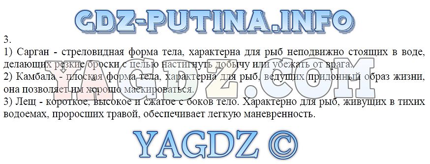 Приспособления рыб к условиям обитания значение рыб презентация 7 класс пасечник