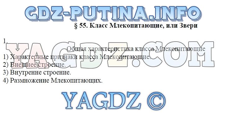 Класс млекопитающие или звери презентация 7 класс пасечник