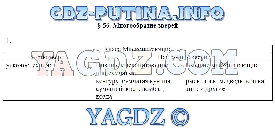 Закончите заполнение схемы многообразие зверей