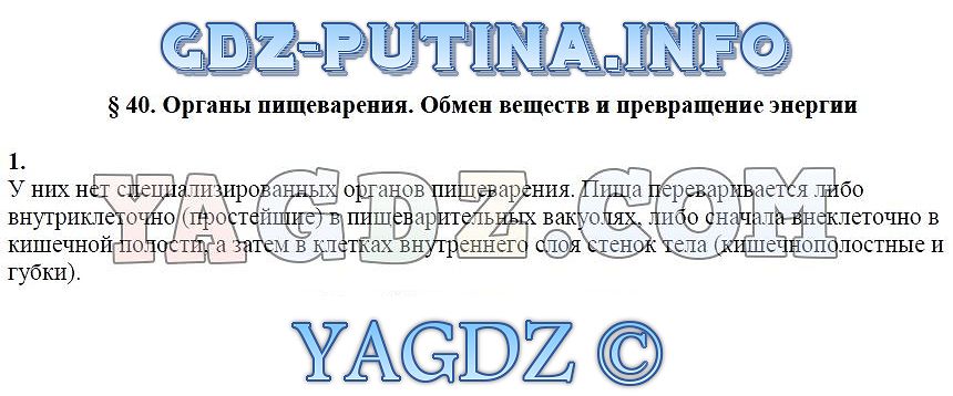 Органы пищеварения обмен веществ и превращение энергии 7 класс презентация