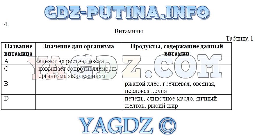 Технология 5 класс таблица витамина. Технология 5 класс Кожина ответы на вопросы.